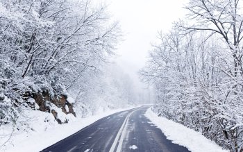Pneus_cold_winter_road-2.jpg